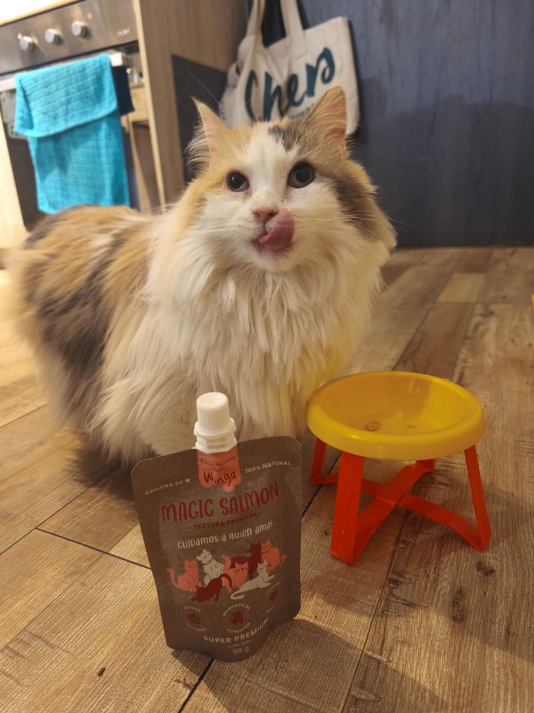 Customer photo review of Magic Salmon Gatos