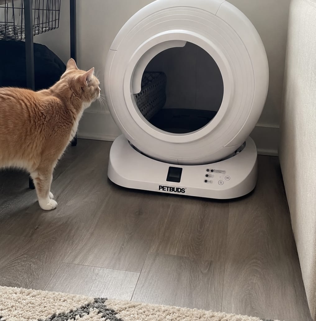 Customer photo review of The Petbuds Q-CLEAN Automatic Self-Cleaning Litter Box