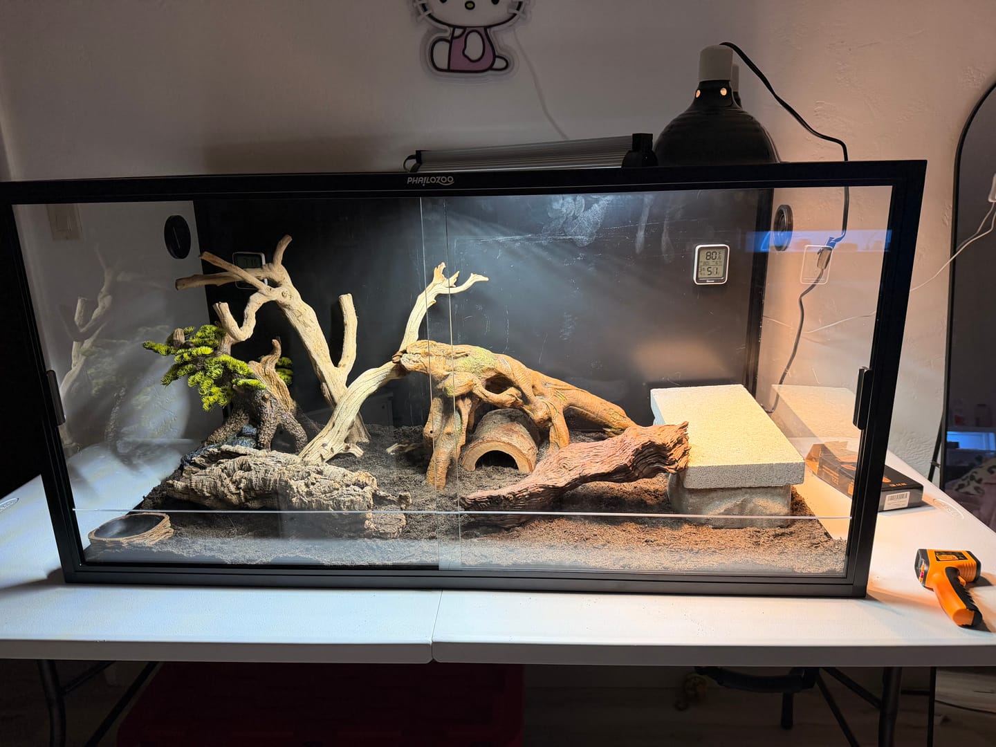 Customer photo review of 120 Gallon Bearded Dragon Enclosure 4x2x2