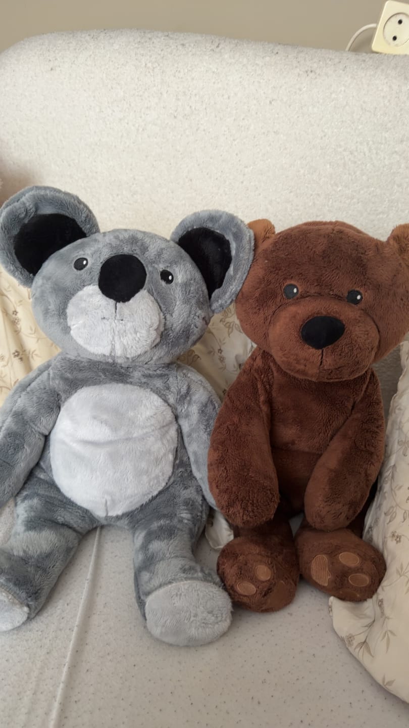 Customer photo review of Lotgenootje Koala 2kg
