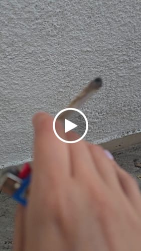 Customer video review of THC-A Flower Montgomery Benz