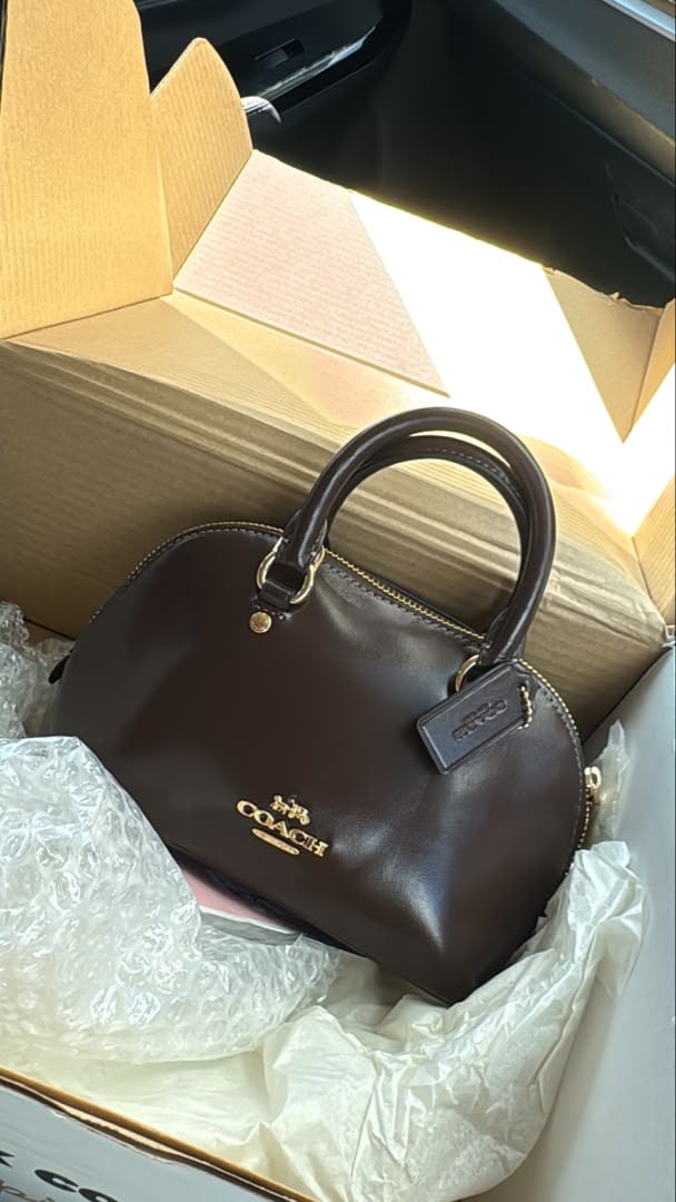 Customer photo review of Coach Lara Mini Satchel Bag In Maple CEA01