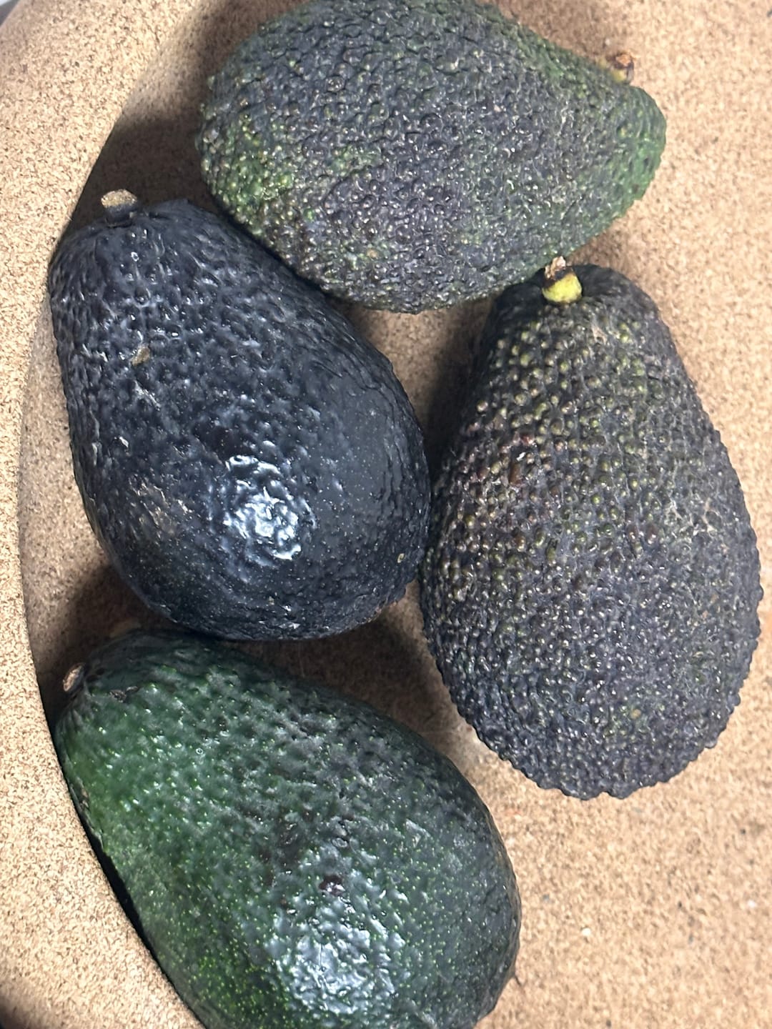 Customer photo review of Avocado Hass & Lamb Hass 15 Monate baumgereift von Julian