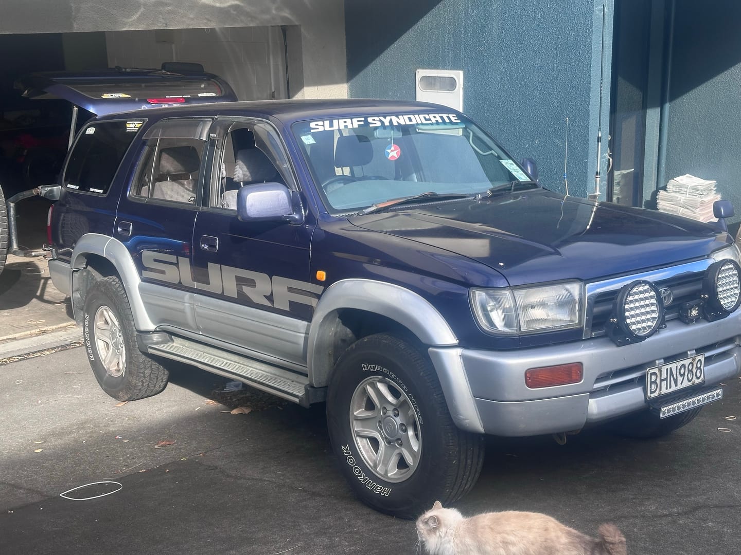 Customer photo review of Surf Side Decal Kit