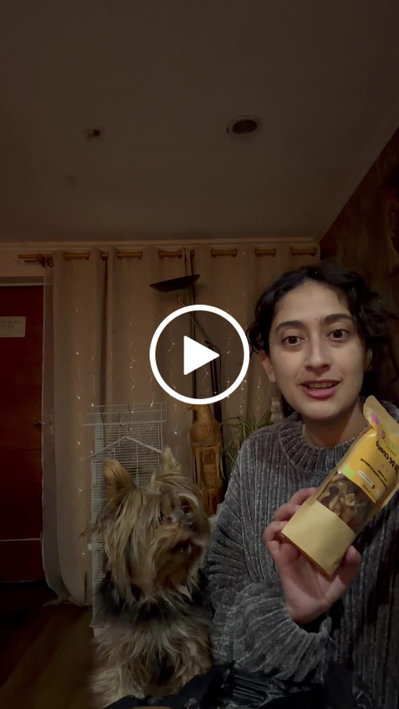 Customer video review of Asta de ciervo para perros - Principiante