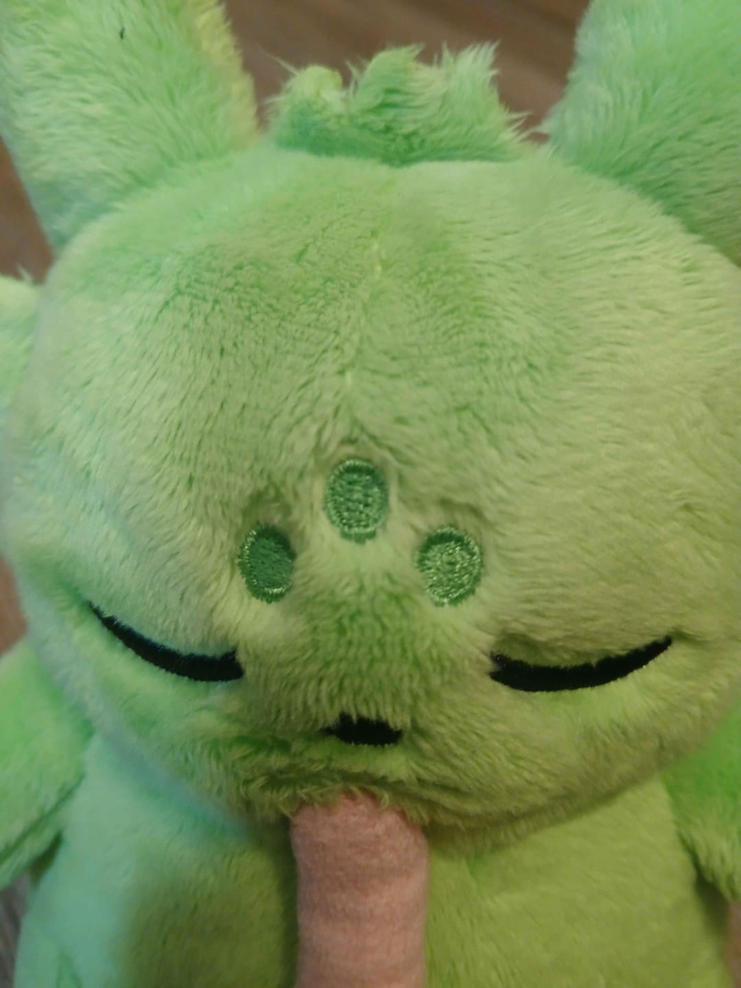 Customer photo review of Rain World - Saint Slugpup Plush