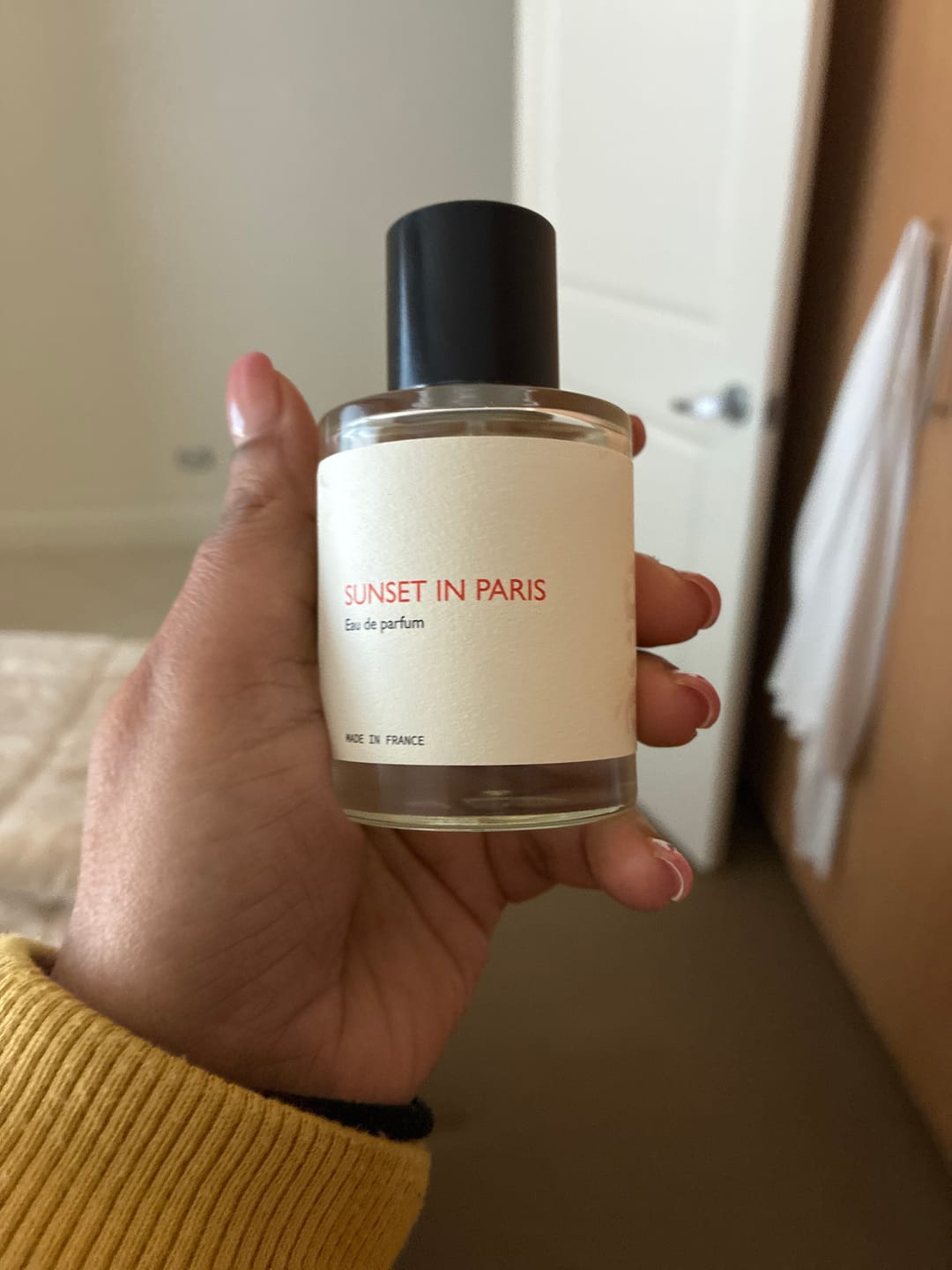 Customer photo review of Sunset in Paris