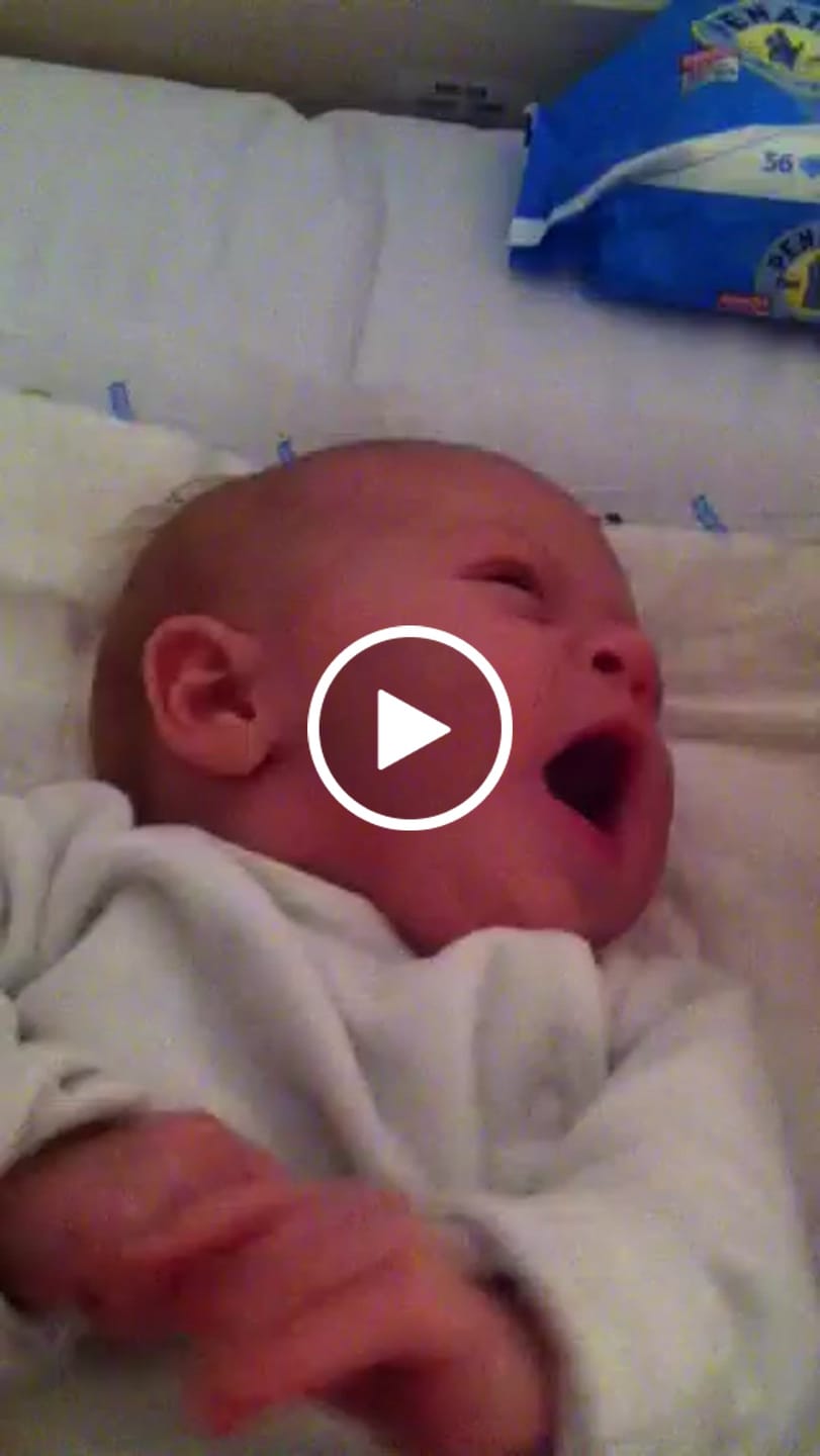 Customer video review of Zirben Kissen 40 x 40 cm