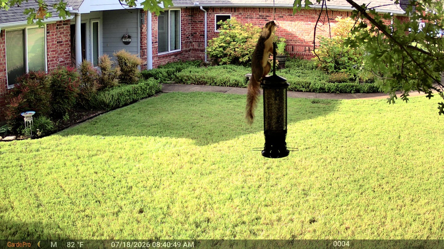 Customer photo review of GardePro Link 1.0 3000ft(1km) Long-Range Wireless Trail Camera