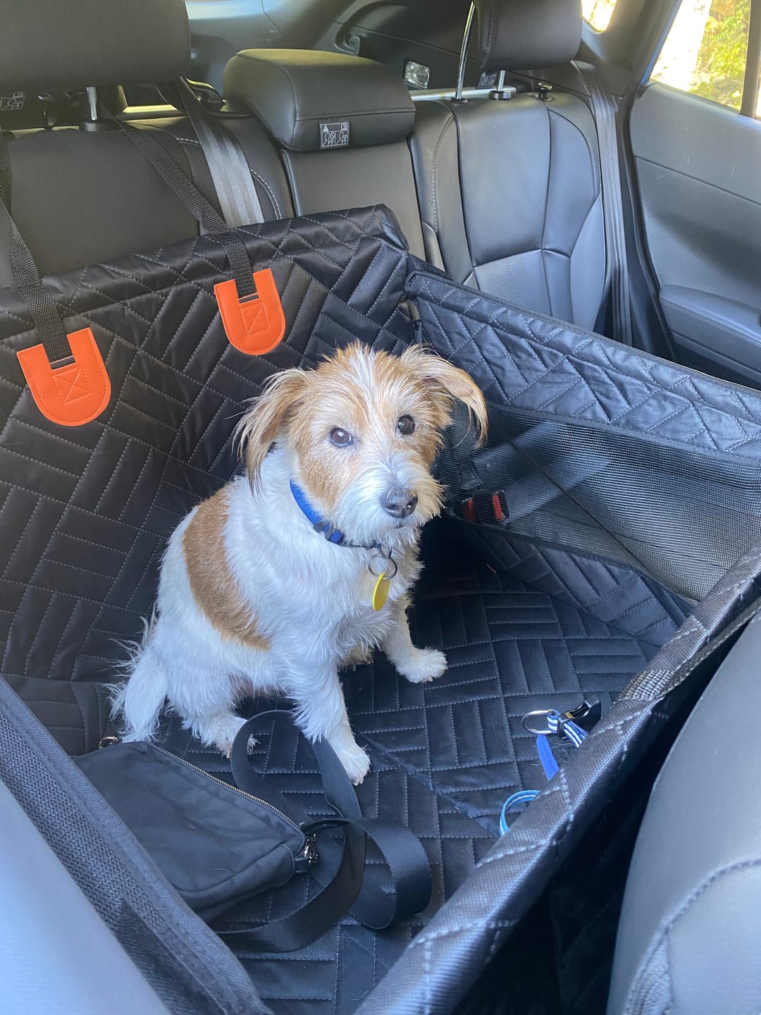 Customer photo review of 🐶Paw Protect - Hard Bottom Single Seat Cover