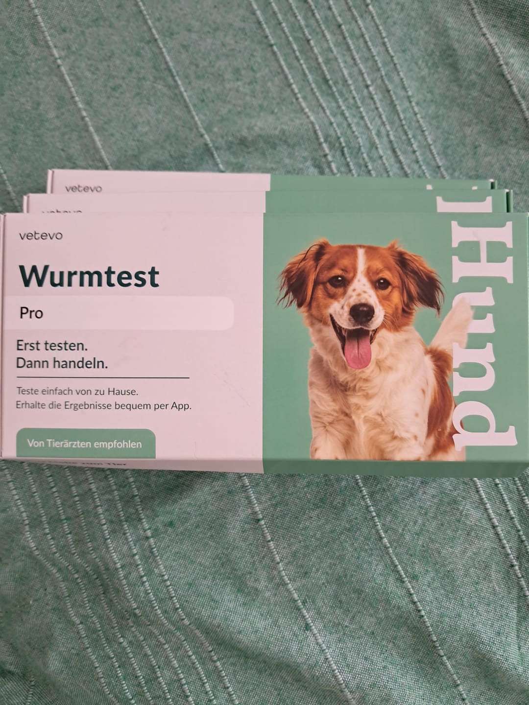 Customer photo review of Wurmtest Pro Hund Sparpaket