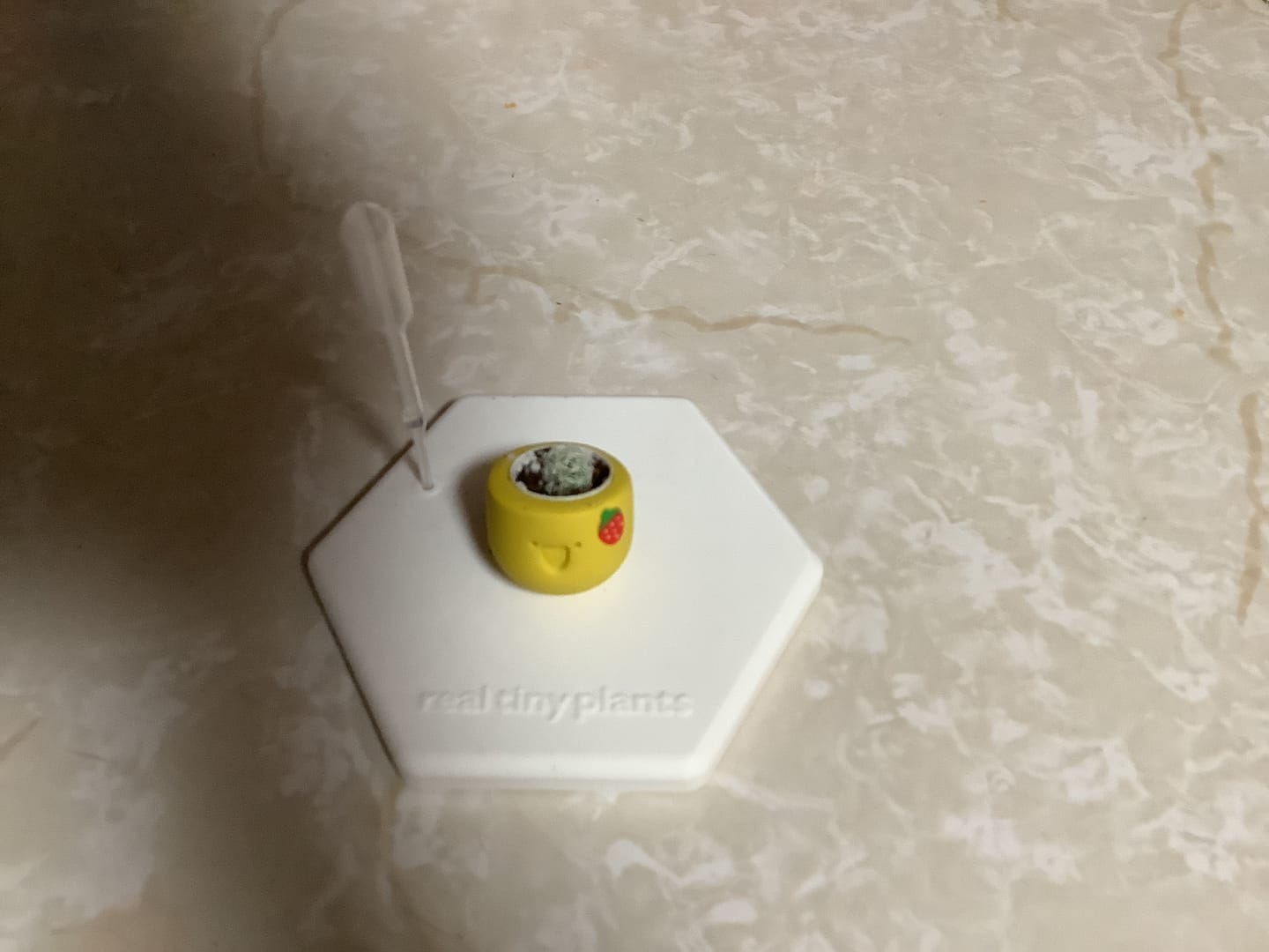 Customer photo review of Strawberry Lemonade