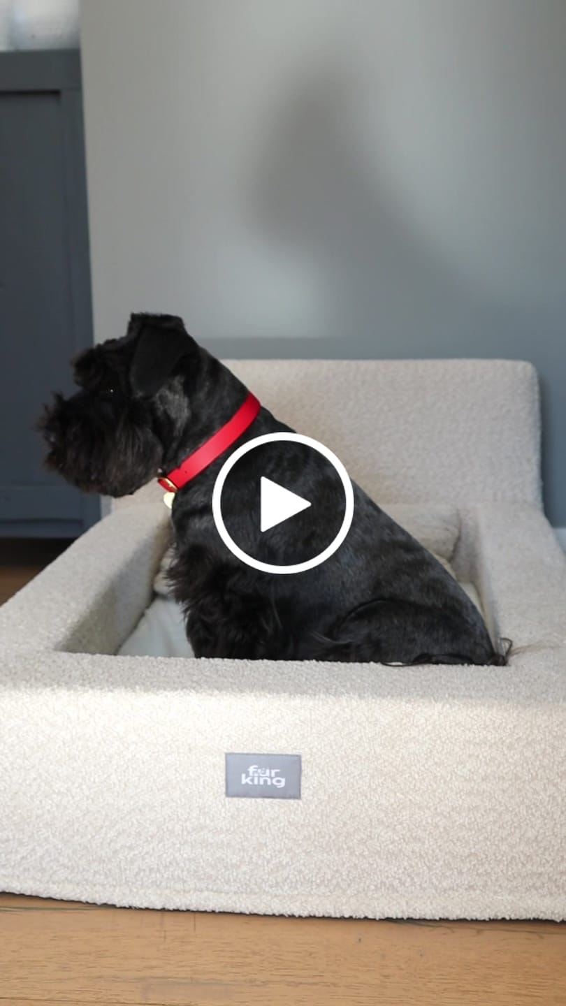 Customer video review of Fur King Throne - Orthopedic Dog Bed