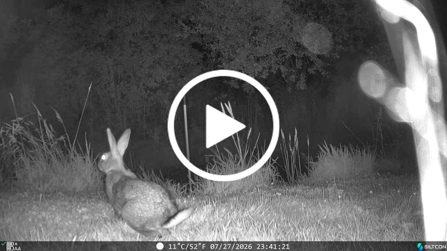 Customer video review of Siltcon® Wildcamera met Zonnepaneel 8K