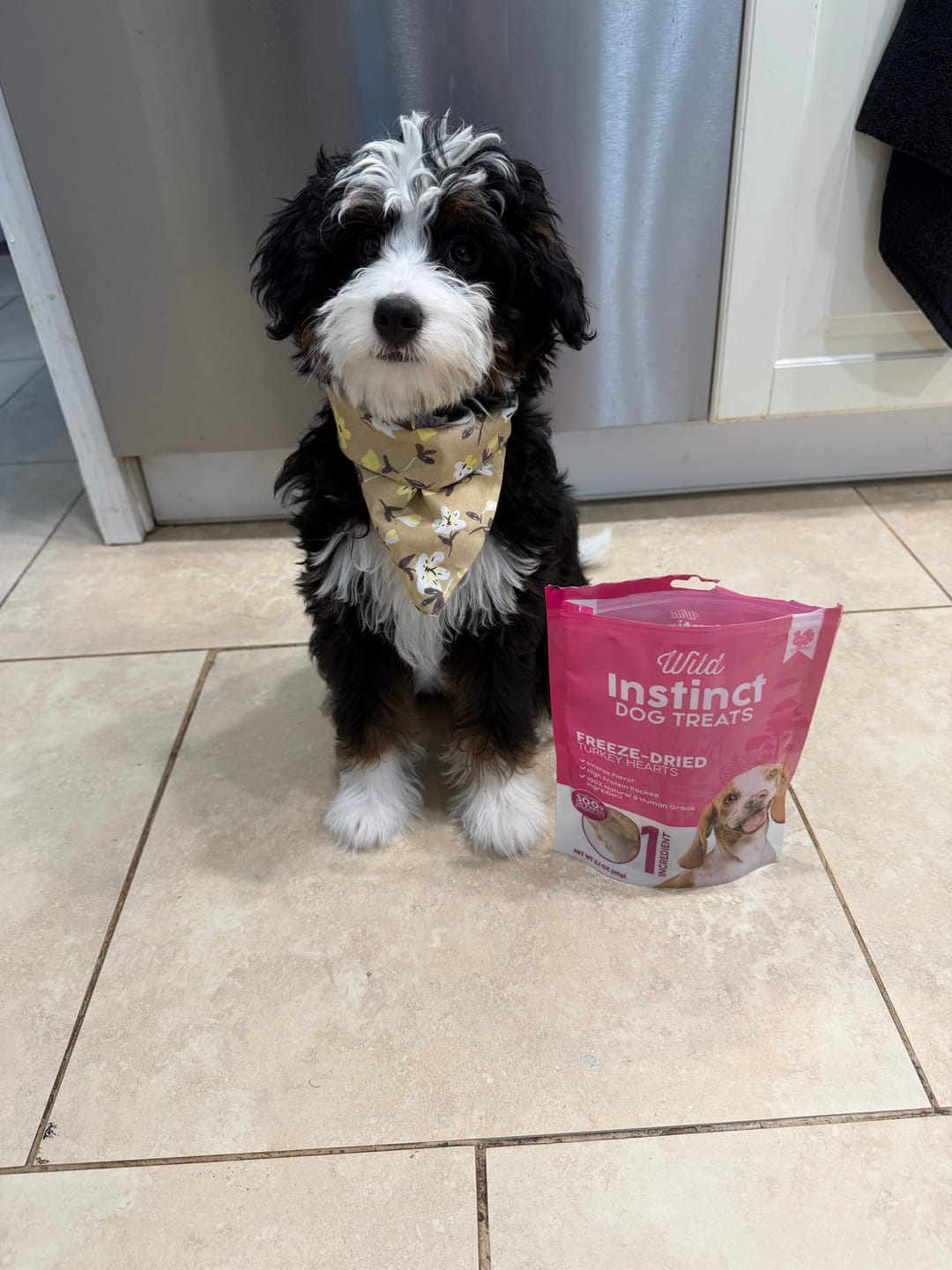 Customer photo review of Freeze-Dried Turkey Hearts for Dogs