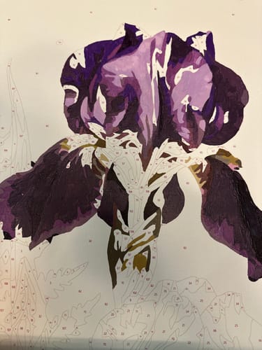 Customer photo review of Classic Floral Dark Background (120 Colors)