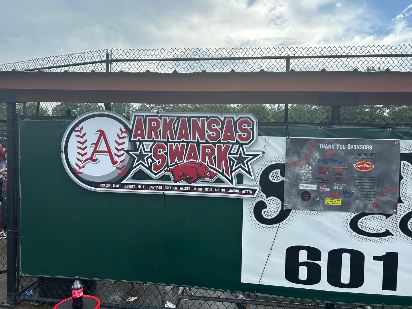Customer photo review of Dugout Signs
