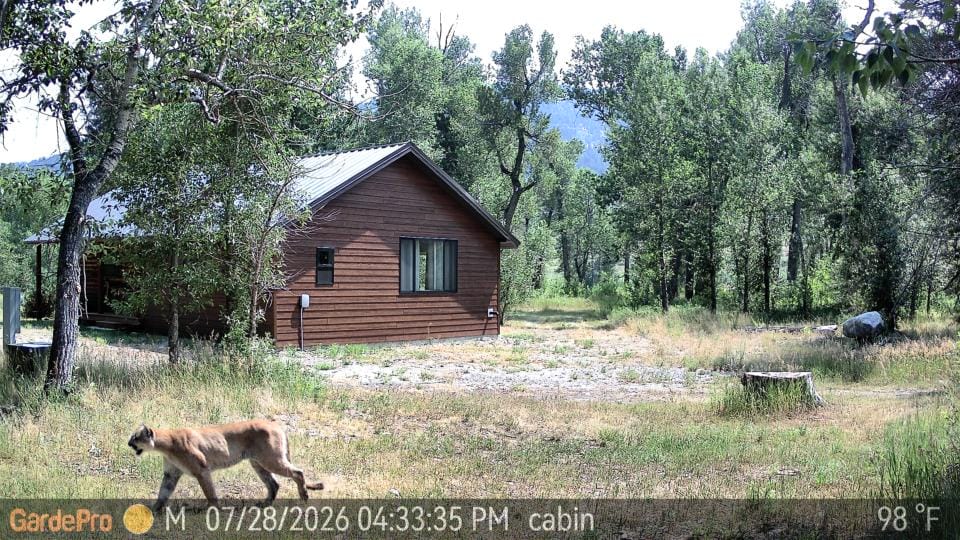 Customer photo review of GardePro Link 1.0 3000ft(1km) Long-Range Wireless Trail Camera