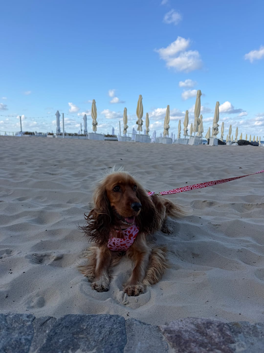 Customer photo review of Szelki bezuciskowe "Pink Terrazzo" - złote okucia