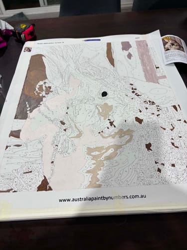 Customer photo review of Custom Paint By Numbers