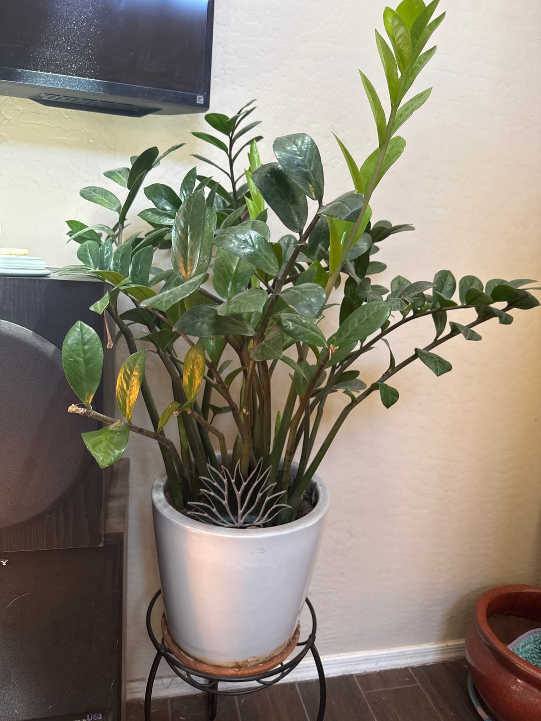 Customer photo review of Leaf Cleanse