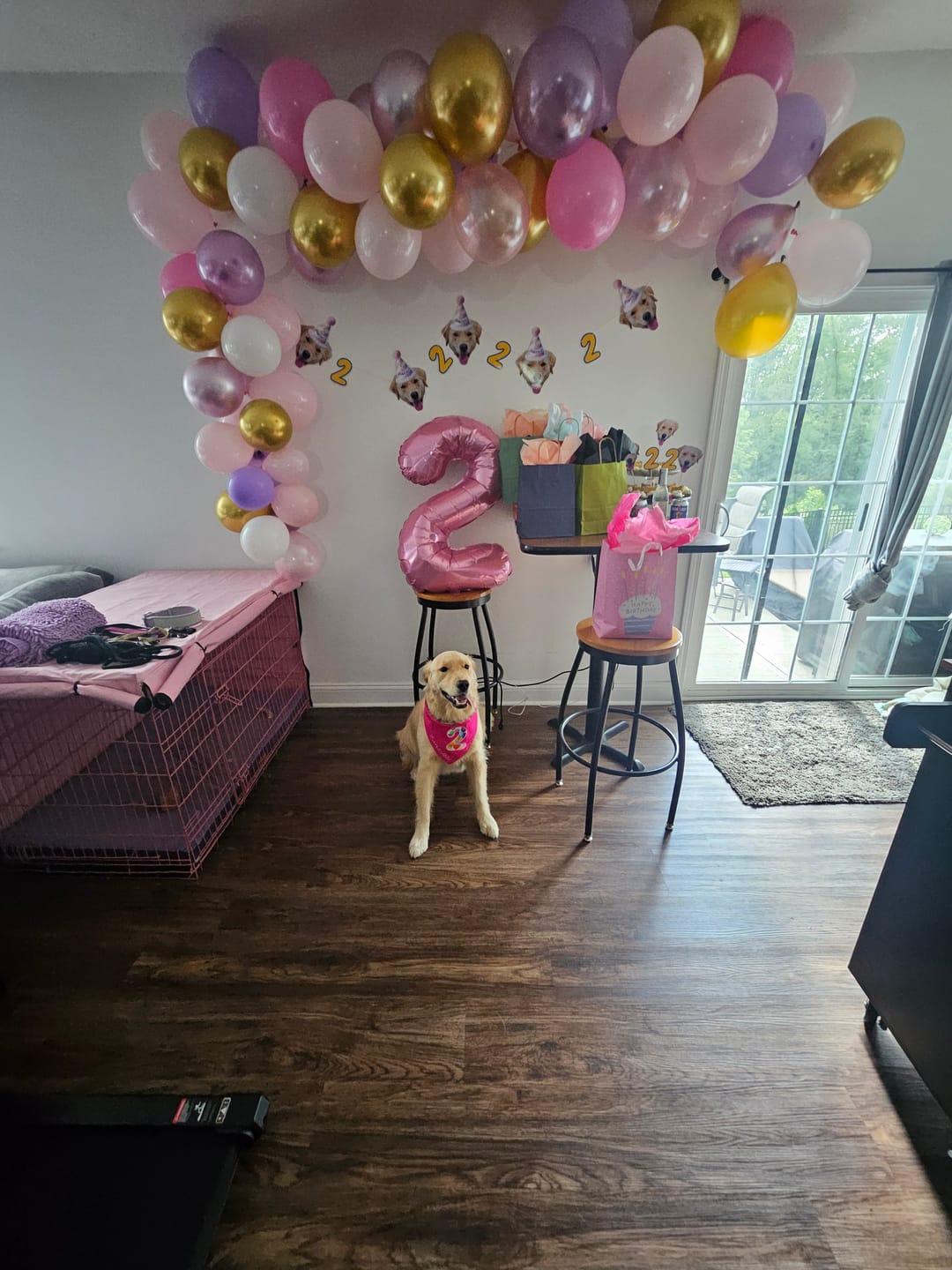 Customer photo review of Personalized Dog Party Pack
