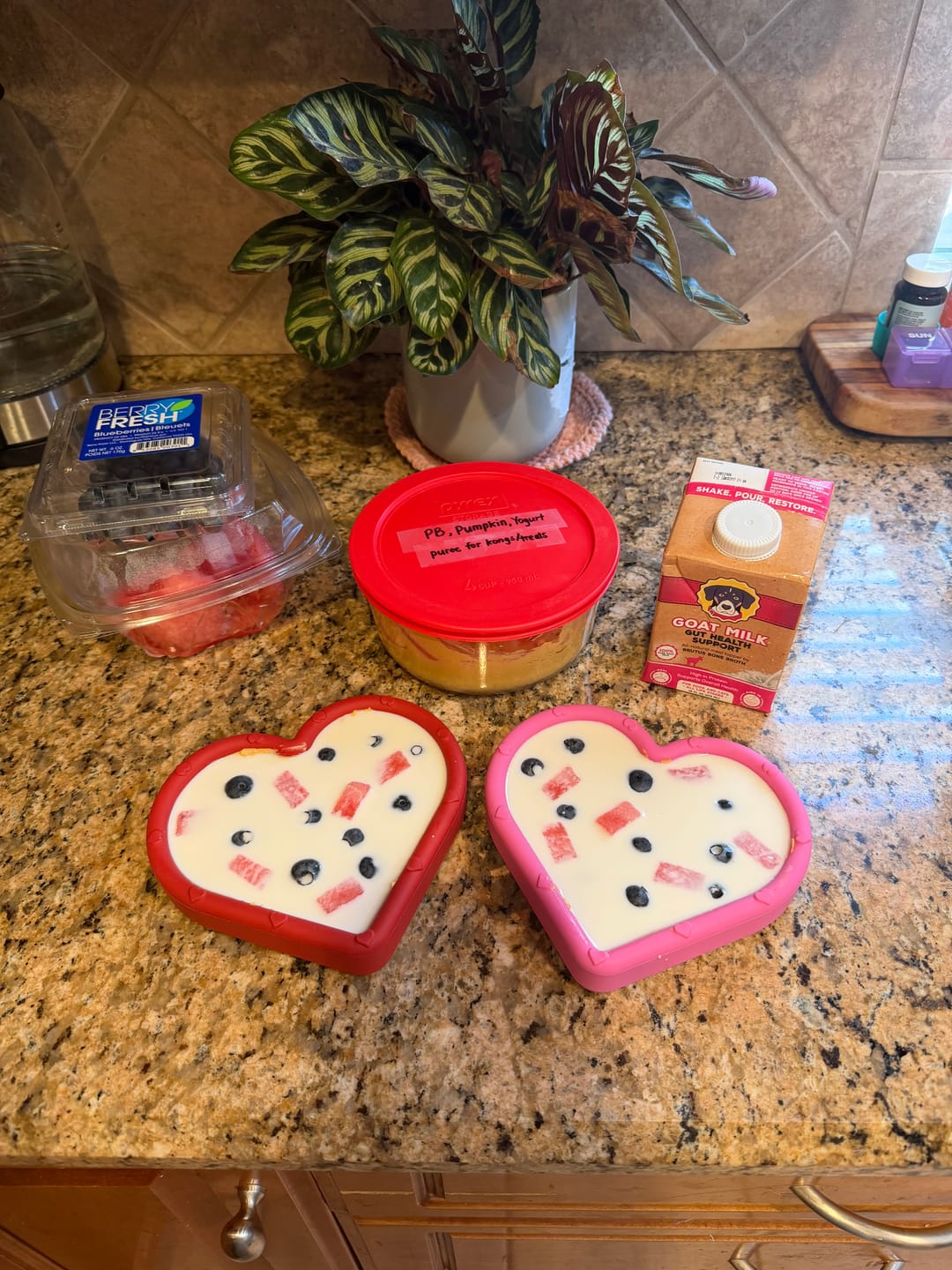 Customer photo review of FreezHeart - Durable Heart Enrichment Chew
