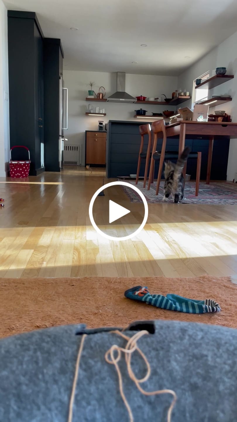 Customer video review of Interactive Bird Simulation Cat Toy Set