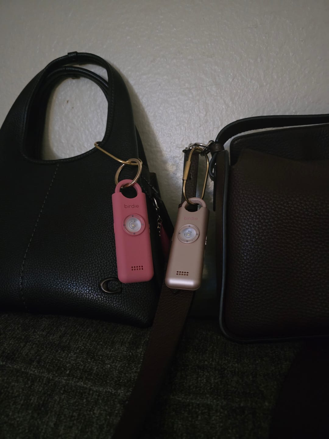 Customer photo review of Birdie 3.0