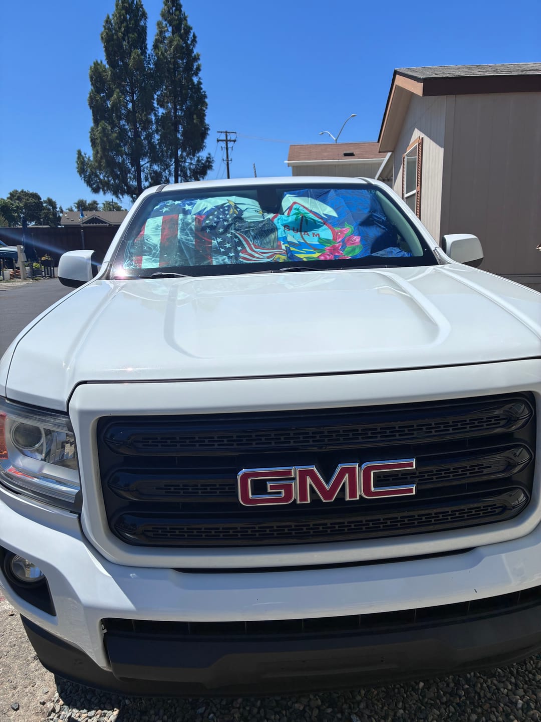 Customer photo review of United States Guam Auto Sun Shade USA Eagle Guahan Seal Bougainvillea LT14