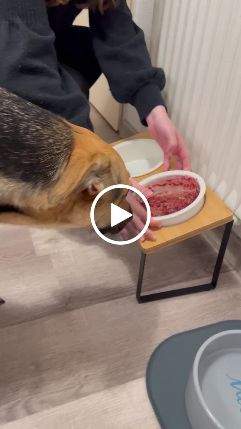 Customer video review of Gemüsemix-Topping für Hunde