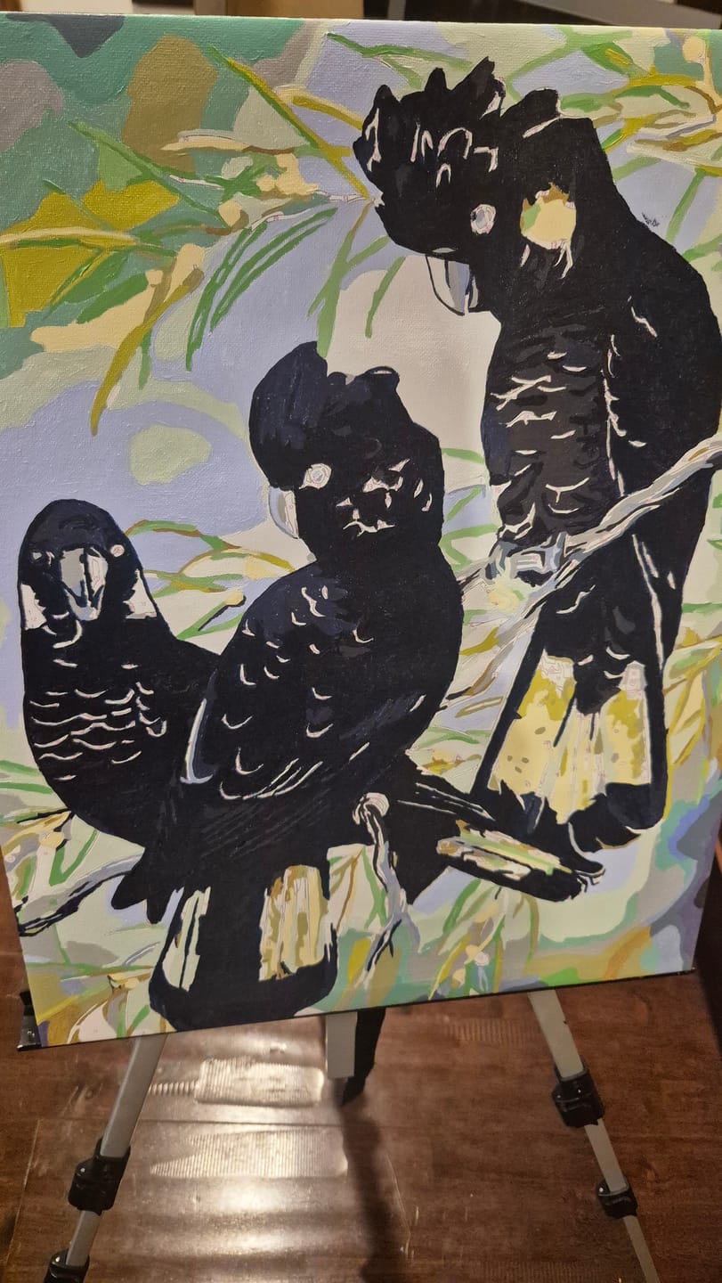 Customer photo review of Yellow Tailed Black Cockatoos