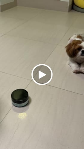 顧客對ProClean™狗狗天然潔牙護齒配方的影片評價