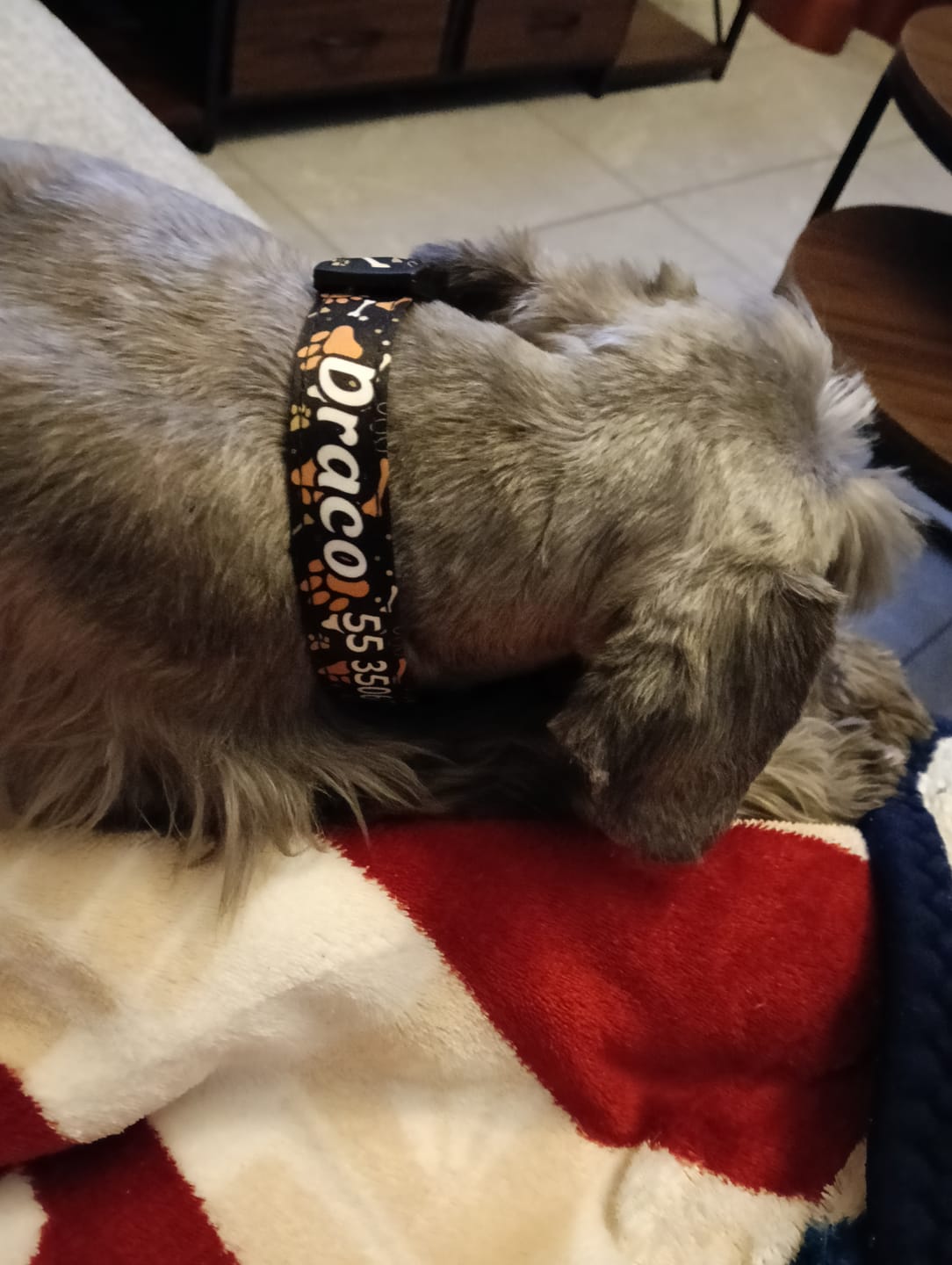 Customer photo review of Collar personalizado: Huellitas