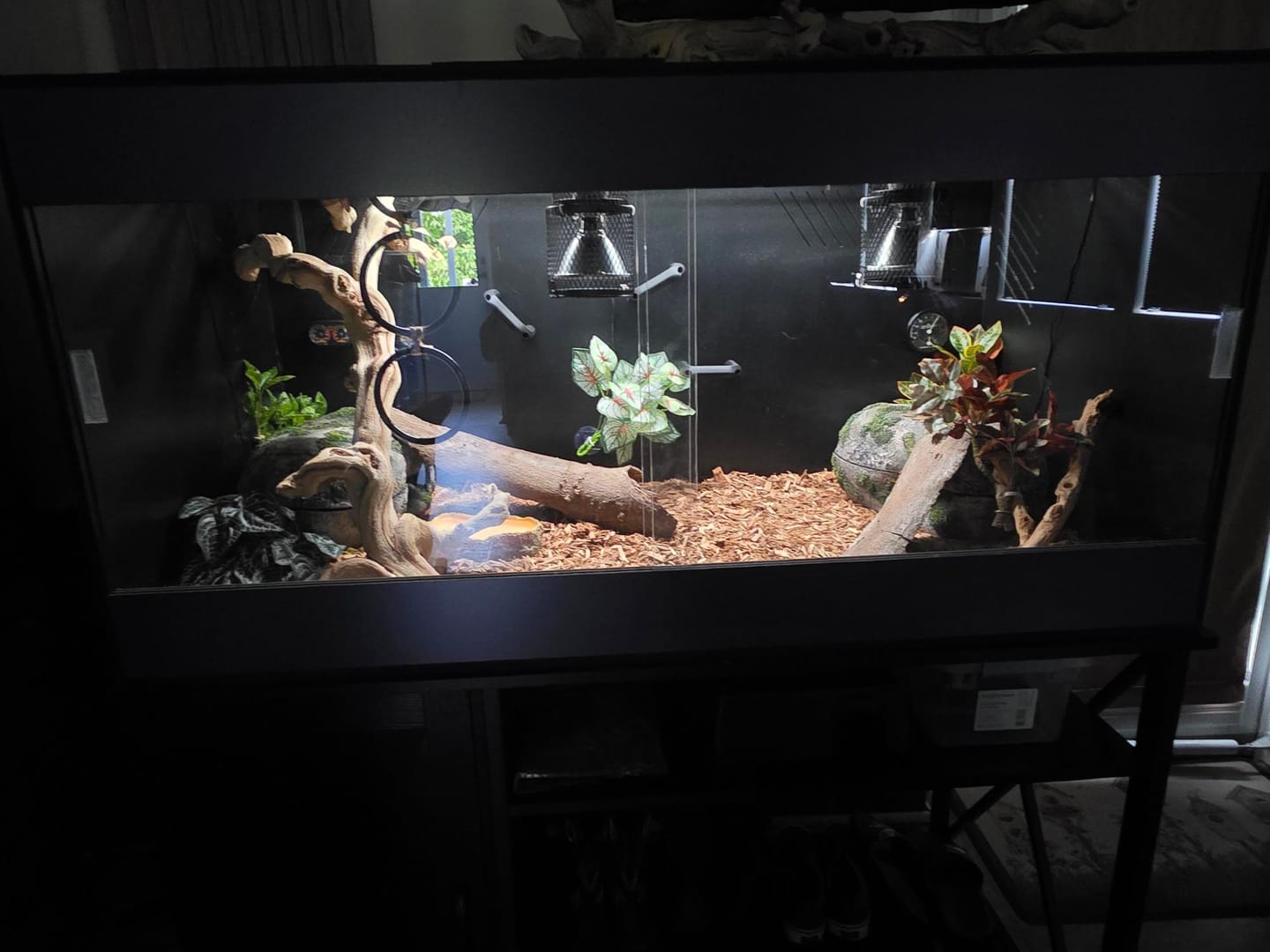 Customer photo review of 48"x24"x24" / 4'x2'x2' Premium PVC Reptile Enclosure