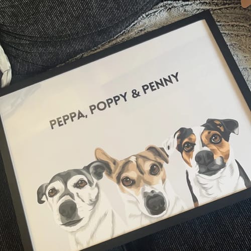 Customer photo review of Custom Pet Portrait - 3 Pets