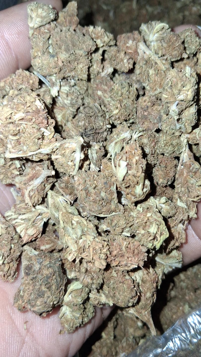 Customer photo review of Butterscotch OG - Bulk - Indica