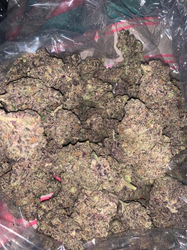 Boutique Exotics  Coffin Candy - Großgebinde - Hybrid photo review