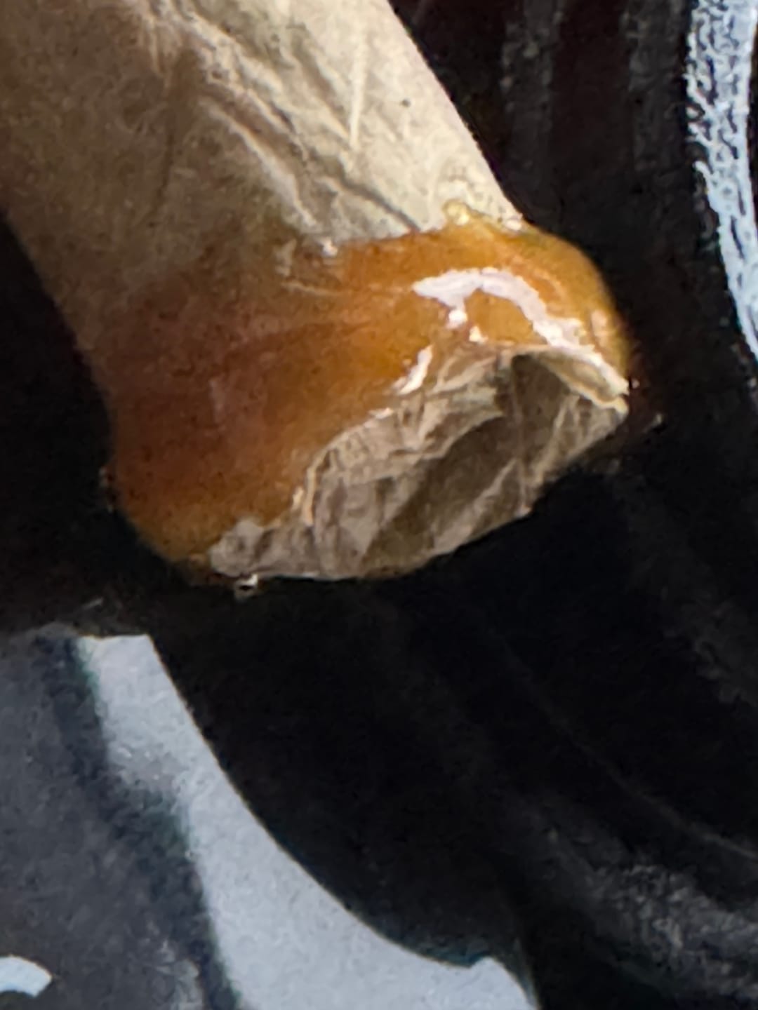 Customer photo review of Apple Pie (Select Wash)
