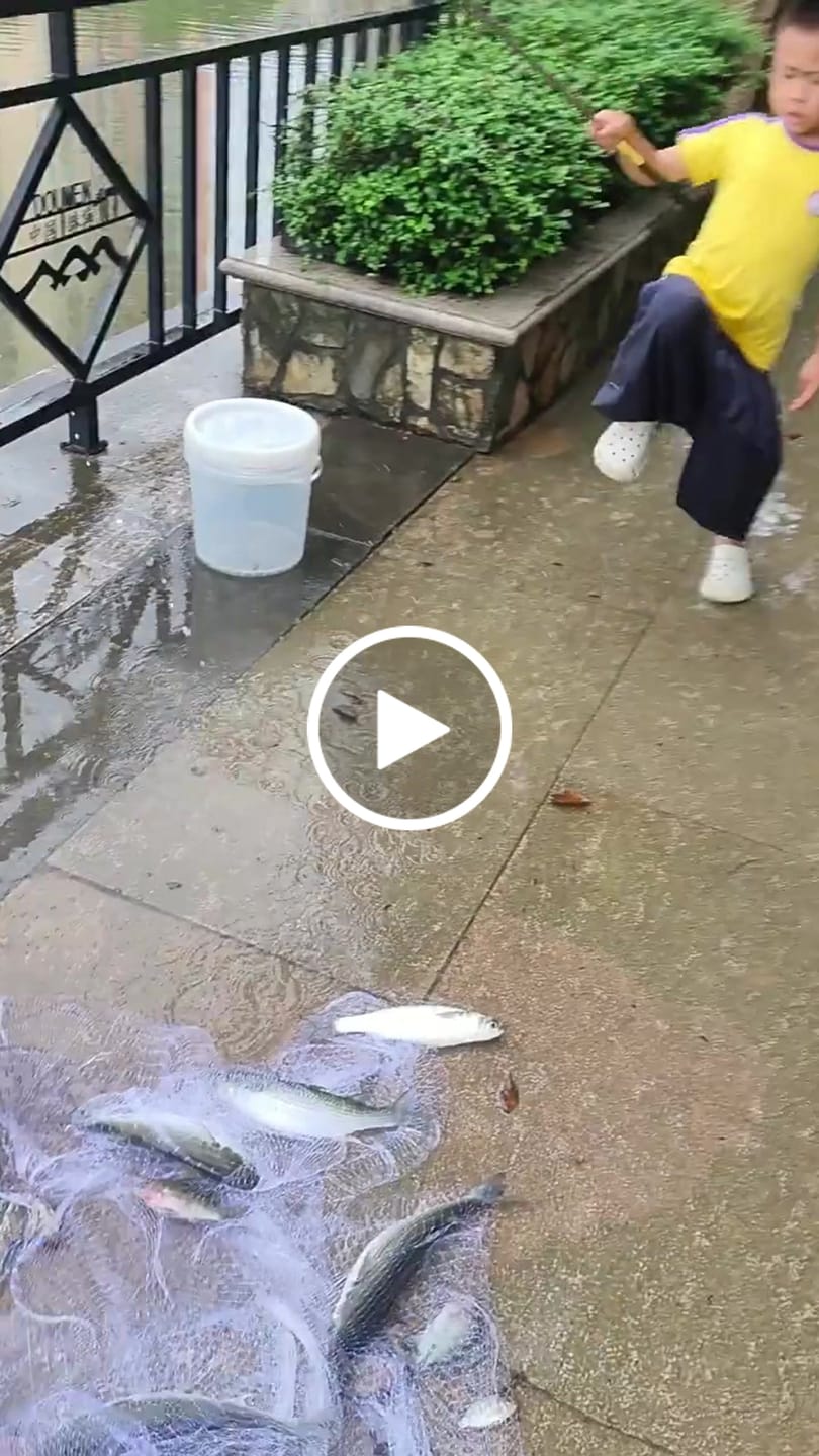 Customer video review of Hand Cast Fishing Net with Large Disc for Easy Throw and Fast Catch
