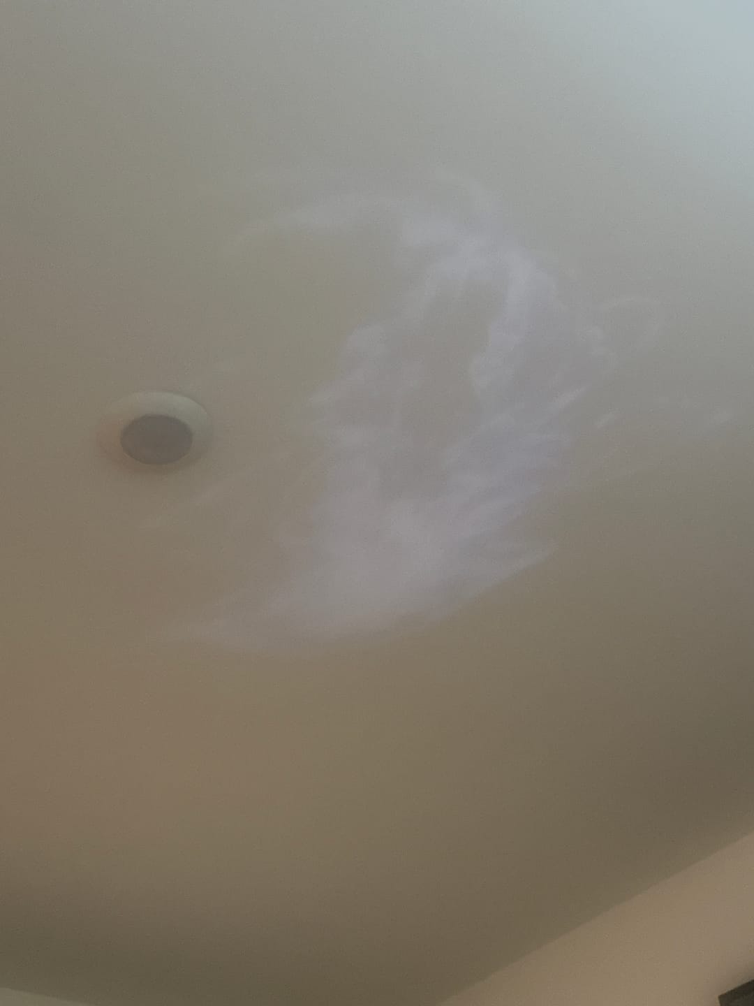 Customer photo review of Litlamp® Holographic Night Light Projector