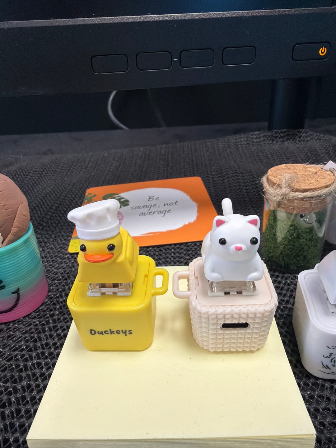 Customer photo review of Meowkey - Fidget Toy that Meows!