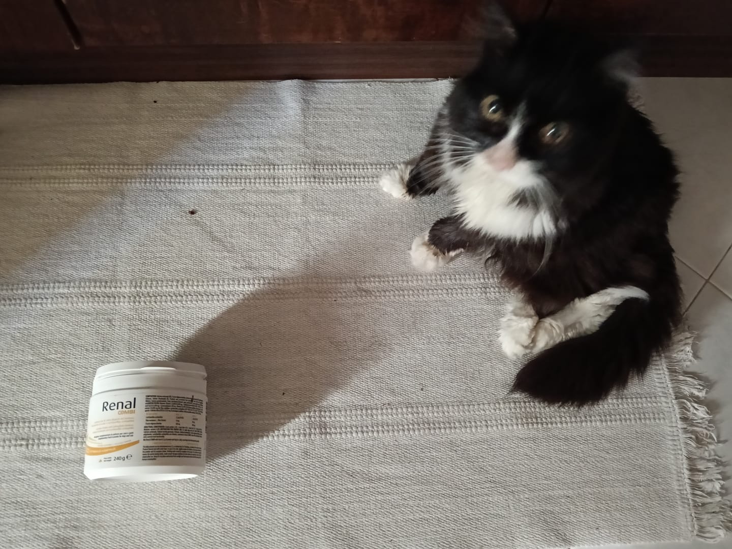 Customer photo review of RENAL COMBI 240gr – Per il mantenimento della normale funzionalità renale di cani e gatti