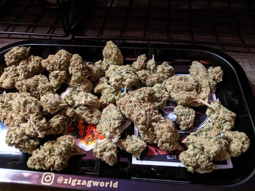Laughing Gas - Bulk - Hybrid photo review