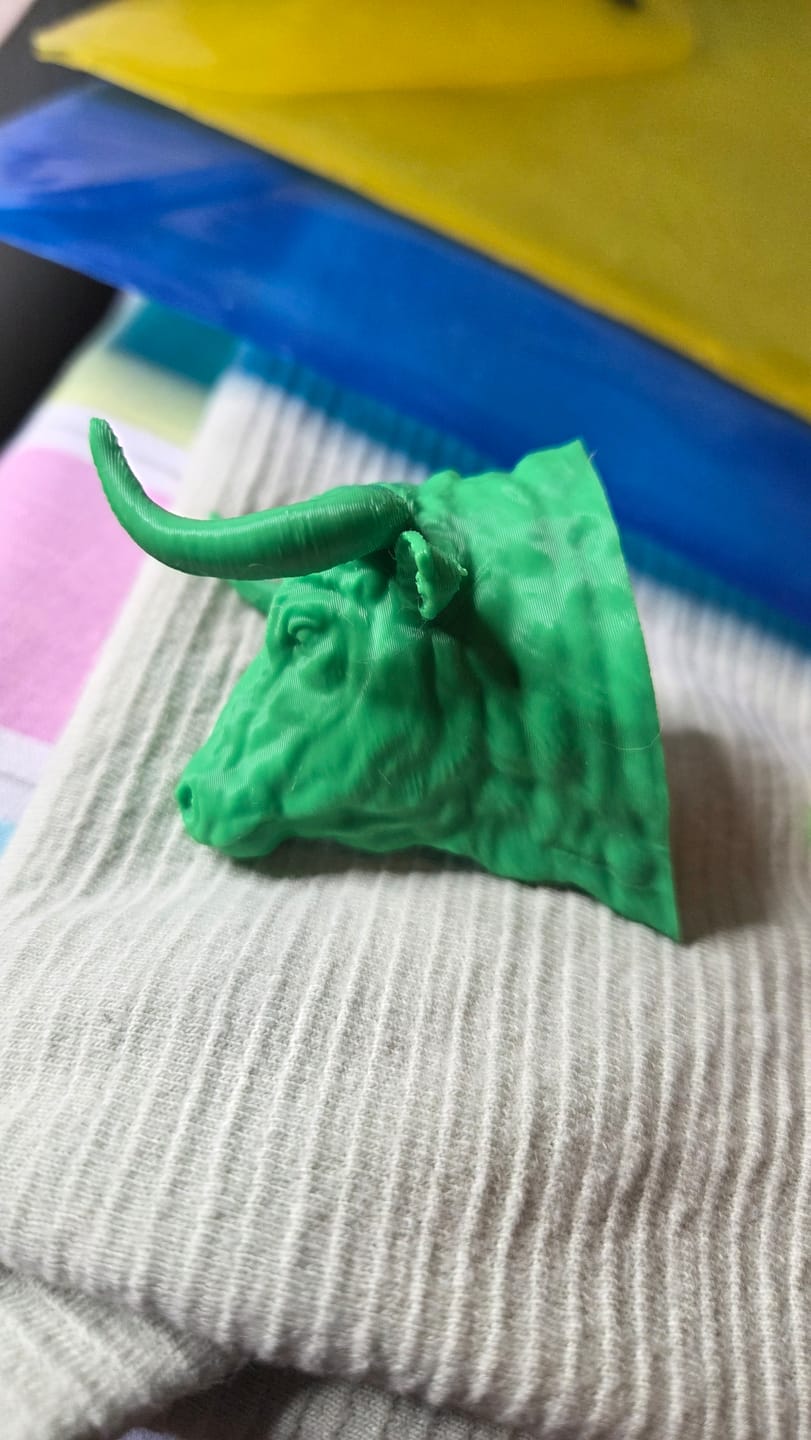 Customer photo review of PLA+