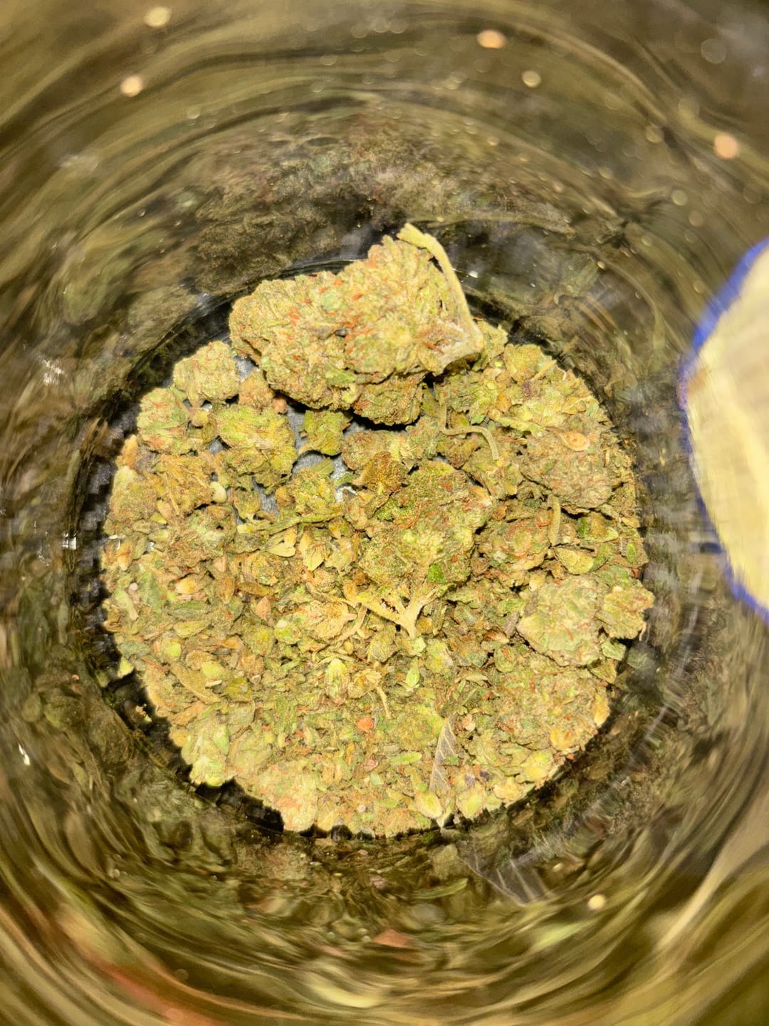Customer photo review of Wedding Cake - 28 Grams - Hybrid