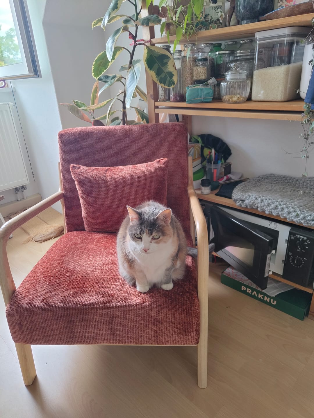 Customer photo review of OHAMA - Fauteuil de salon en bois massif et tissu terracotta