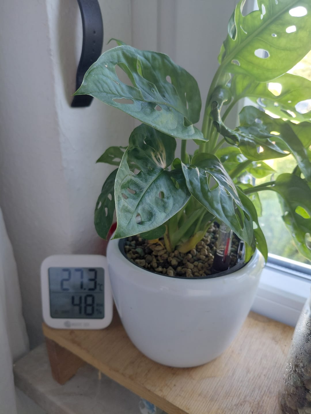 Customer photo review of Thermometer & Hygrometer