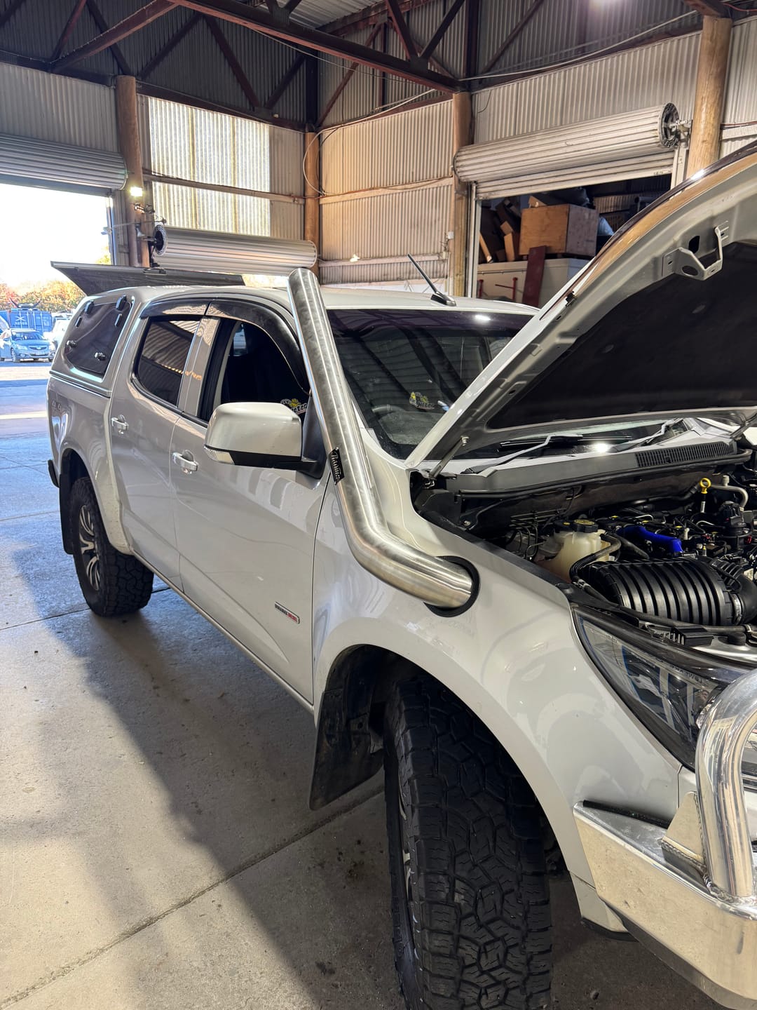 Customer photo review of Shipping Protection
