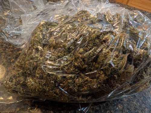 White Rhino - Bulk - Indica photo review